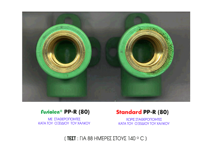 foto_test